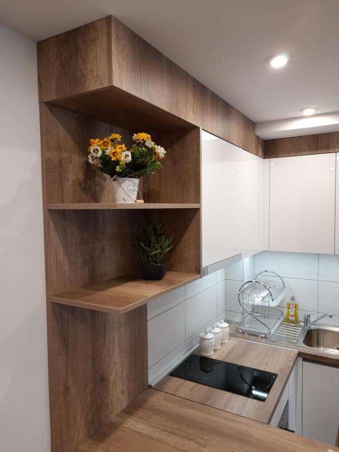 Apartment I Luka